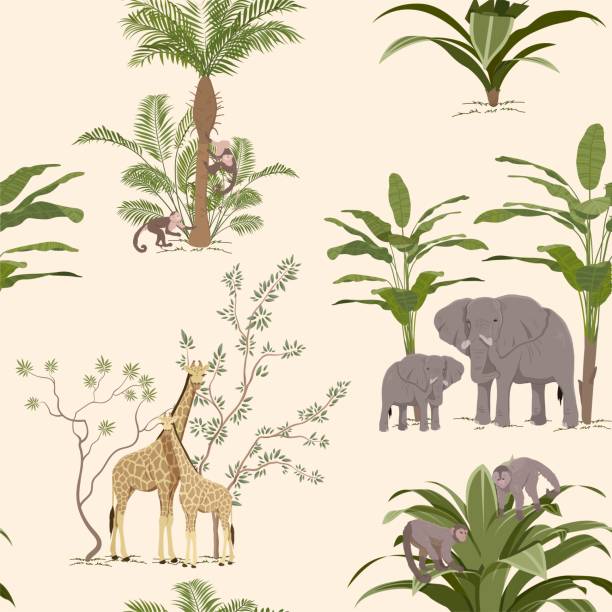 illustrations, cliparts, dessins animés et icônes de papier peint animal de la jungle motif sans couture - lion safari africa animal