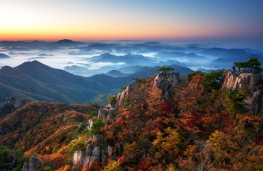 Magical Korea autumn pictures