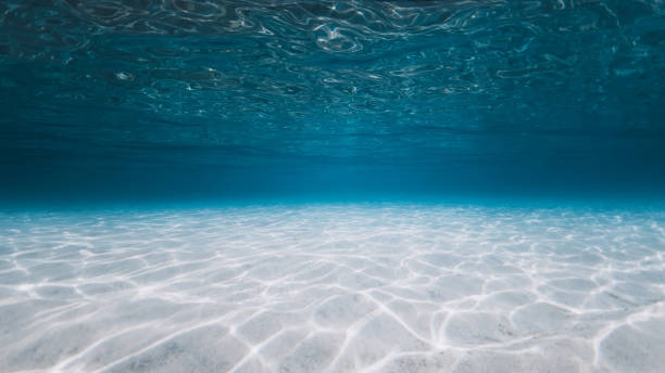 istock Tropical blue ocean with white sand underwater in Hawaiian island. Panoramic ocean background 1450214879