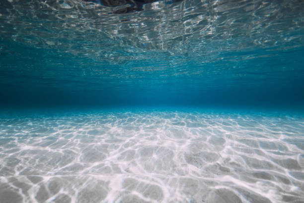 istock Blue ocean with white sand and sunlight under water. Transparent ocean background 1450214887