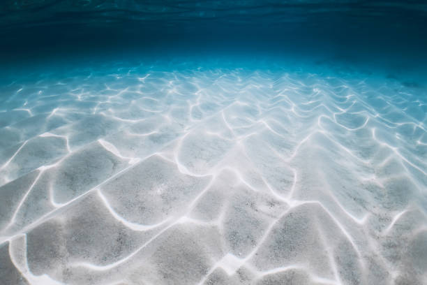 istock Blue ocean with patterns on white sand underwater in Hawaii 1450214914