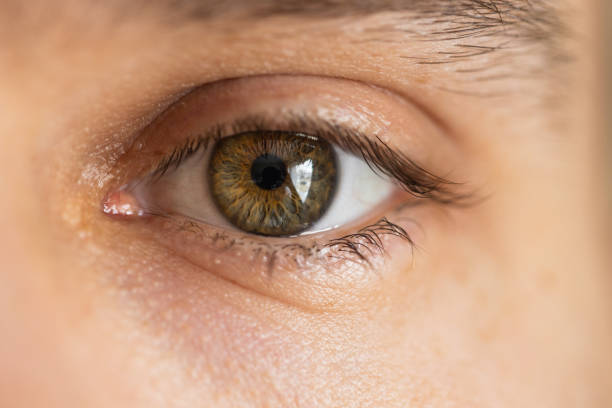 istock Close of a hazel eye. 1450215094