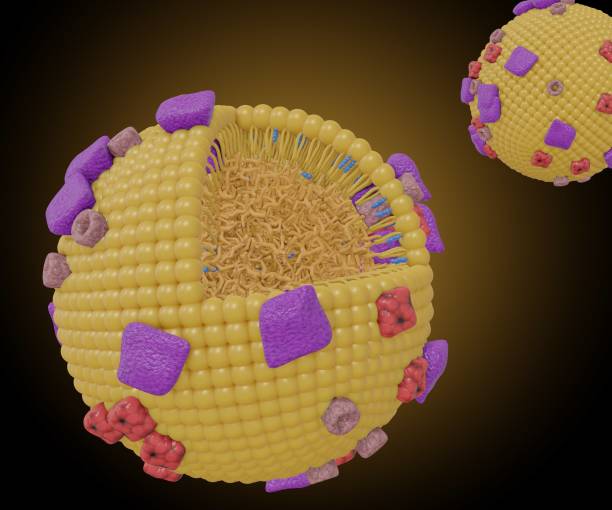 istock Isolated Chylomicrons or ultra low density lipoproteins 1450215714