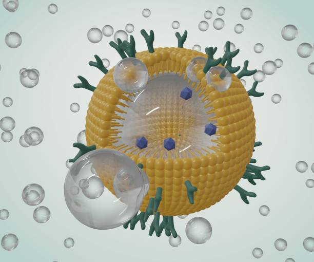 istock Phospholipid coated nanobubble for drug delivery 1450215785