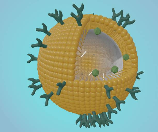 istock Phospholipid coated nanobubble for drug delivery 1450215793