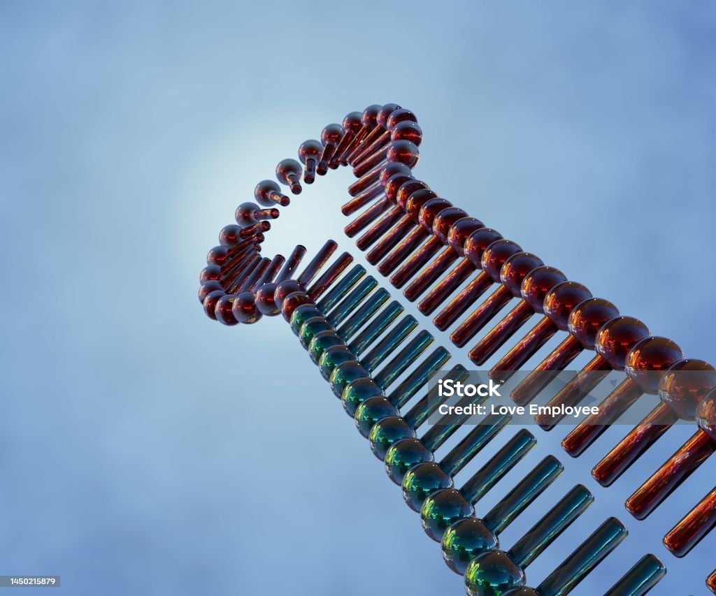 Shrnas Consist Of Sense And Antisense Sequences Separated By A Loop  Sequence Stock Photo - Download Image Now - iStock