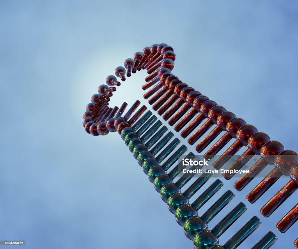 Shrnas Consist Of Sense And Antisense Sequences Separated By A Loop Sequence Stock Photo - Download Image Now - iStock Shrnas Consist Of Sense And Antisense Sequences Separated By A Loop Sequence Stock Photo - Download Image Now - iStock