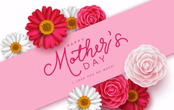 Happy mother's day vector template design. Mother's day text in empty space with camellia, rose and daisy flower elements for holiday international. Happy mother's day vector template design. Mother's day text in empty space with camellia, rose and daisy flower elements for holiday international celebration. Vector Illustration. happy mothers day stock illustrations