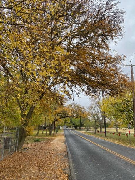 istock Country Roads 1450227910