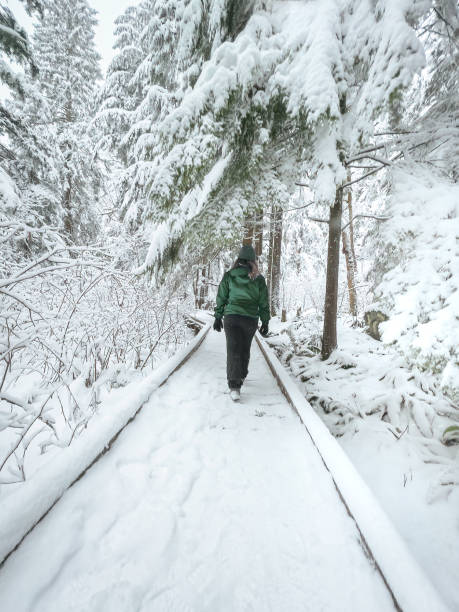 istock Multiracial Woman Walks Along Boardwalk Through Forest as Snow Falls 1450231401