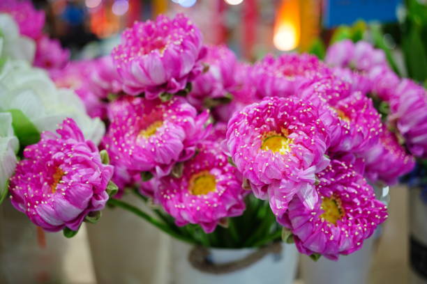 Beautiful pink artificial lotus or Fake flowers background