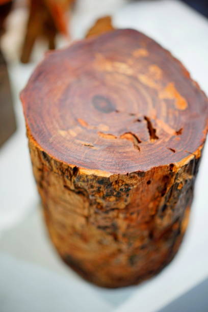 Trunk Tree of Dalbergia cochinchinensis