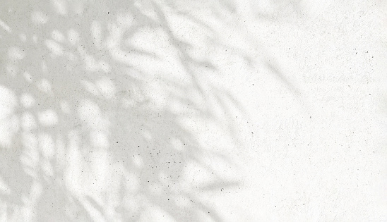 Hermosa luz moteada natural suave de árboles tropicales y sombra de hojas en una pared de concreto de cemento blanco en blanco photo