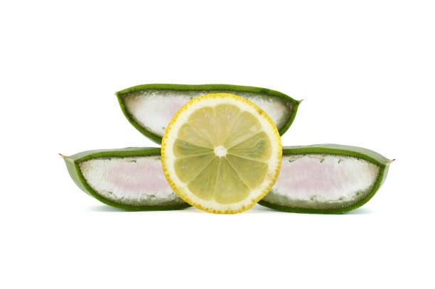 istock Sliced Aloe Vera leaf and lemon isolated on white 1450233621