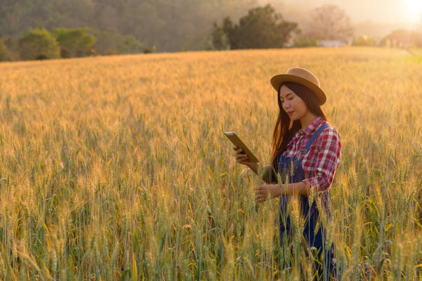 istock Smart farming concept. Farmer with technology digital tablet on background of wheat field. Professional farmers use internet of things IOT computers system to manage farms. agriculture modern idea. 1450238367