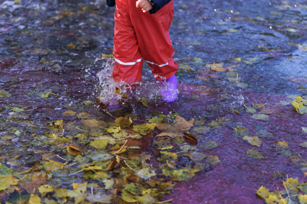 istock child splashing water in a puddle on a rainy day 1450246856