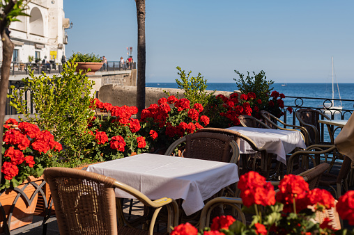 Red geranium outdoors in pots. A cozy table in a cafe with a white tablecloth and a sea view.