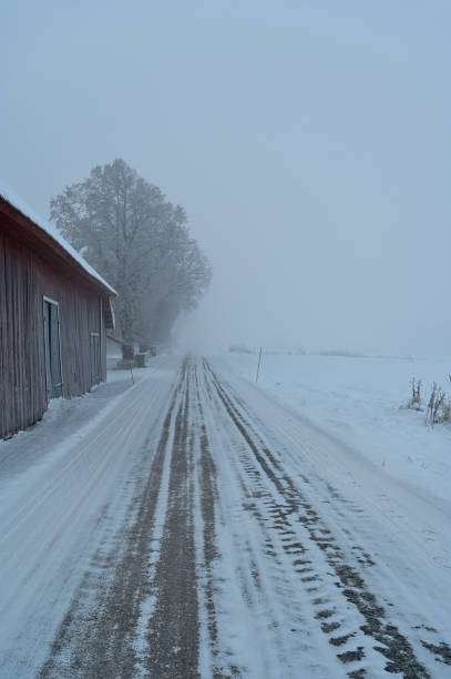winter landscape with blizzard
