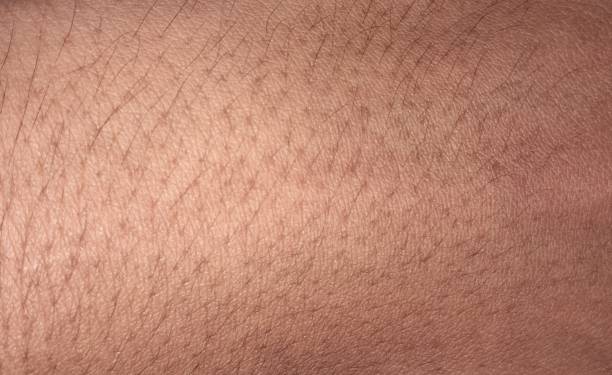 istock Asian brown skin texture 1450250472