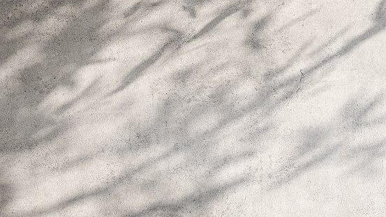 Beautiful soft natural dappled light of tropical tree and leaf shadow on blank gray cement concrete wall for luxury, beauty, organic, nature, interior design display background
