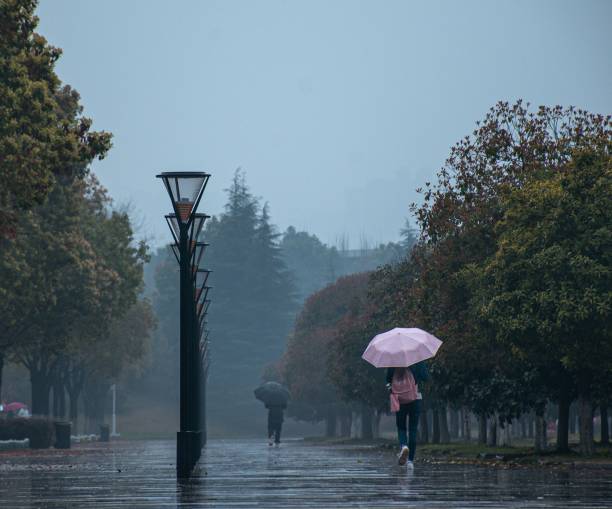 istock With umbrellas walking in a park with trees on a rainy day 1450259344