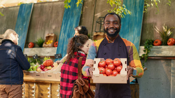 istock Man stand holder presenting box filled with raw tomatoes 1450260585