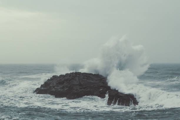 istock Waves breaking on large cliff landscape photo 1450260769