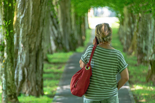 A lady walks along a green avenue in early summer, Kranj, Gorenjska, Slovenia, Europe