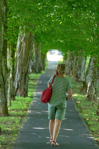 A lady walks along a green avenue in early summer, Kranj, Gorenjska, Slovenia, Europe