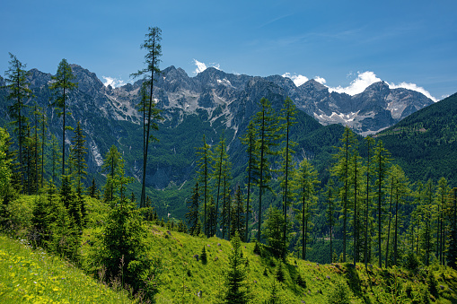 View from Solčava to the Kamniško-Savinja Alps, Gorenjska, Slovenia, Europe