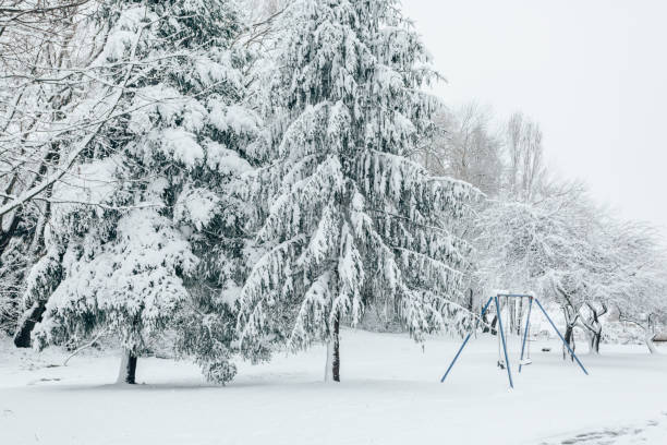 istock Child swing set dusted with snow in a snow covered parkland 1450262466