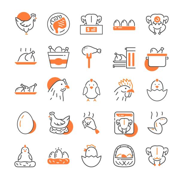 illustrations, cliparts, dessins animés et icônes de jeu de couleurs chicken icons - croustillant