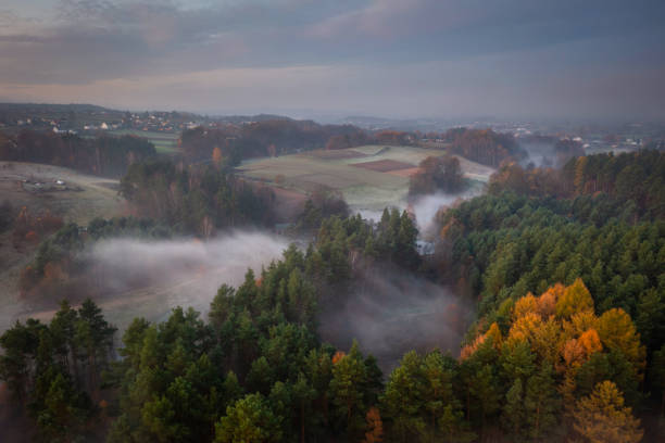 istock Kashubian forests at sunrise, Poland 1450265667
