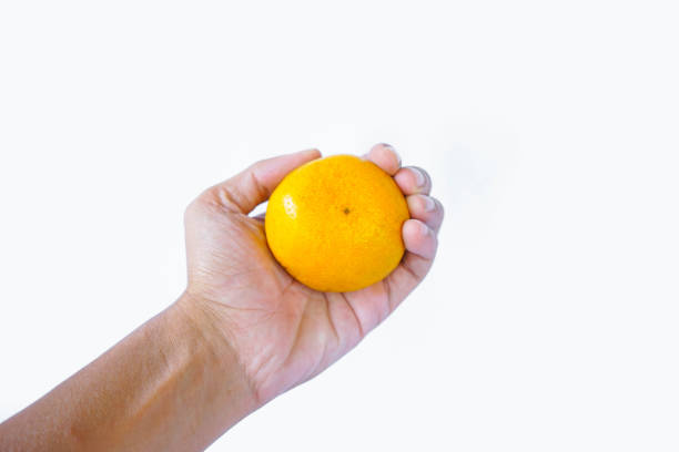 asian man hand holding a orange fruit\nisolated on white background.