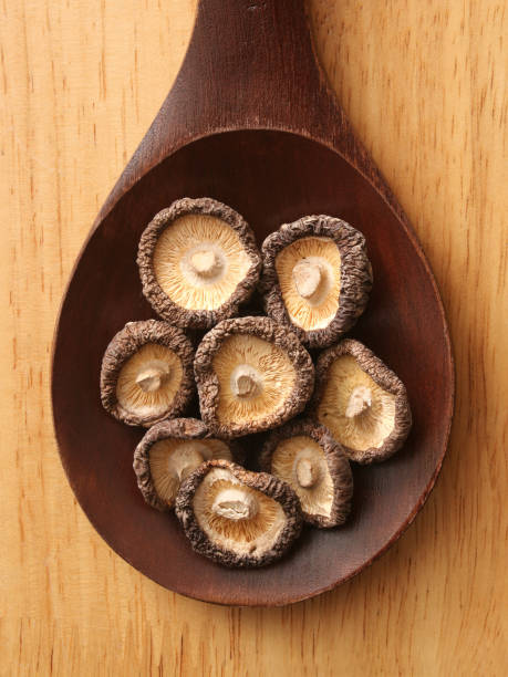 funghi shiitake secchi - shiitake mushroom mushroom dried food dried plant foto e immagini stock