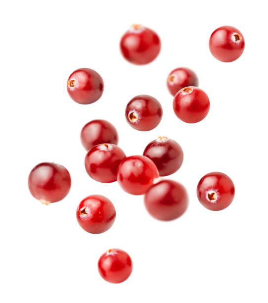 levitating cranberries - fruit front view isolated berry fruit imagens e fotografias de stock