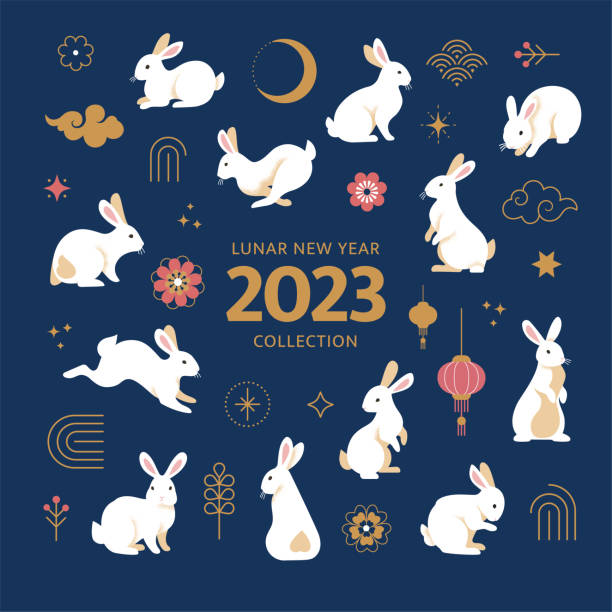 ilustrações de stock, clip art, desenhos animados e ícones de lunar new year 2023 rabbits collection. - night running