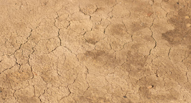 istock light earth with cracks - land in a drought period 1450270525