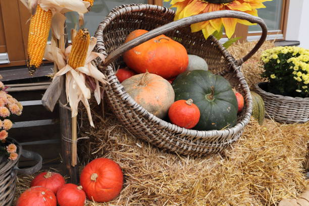 istock a pumpkin decorated on halloween 1450271830
