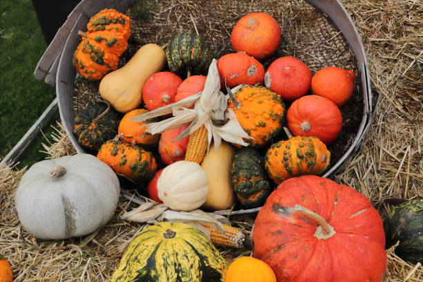 istock a pumpkin decorated on halloween 1450271893