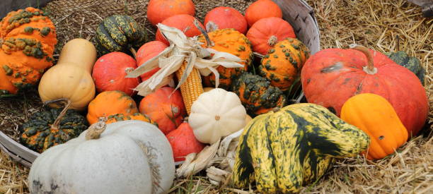 istock a pumpkin decorated on halloween 1450272280