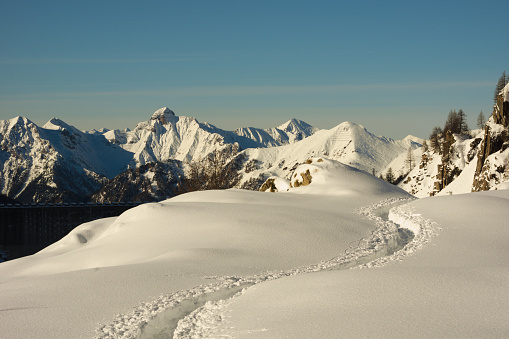 Plateau of Lessinia with Carega Mountain in the background. Regional Natural Park of Lessinia, Veneto, Verona, Italy