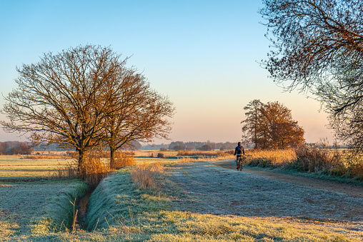 Man on a bicycle rides through a cold Dutch polder landscape on an early winter morning. The grass is white frosted by the frost.
