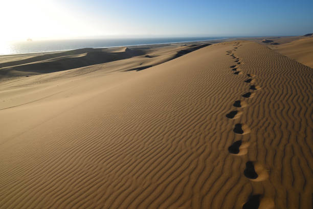 istock Namib Desert in Namibia Africa 1450275406