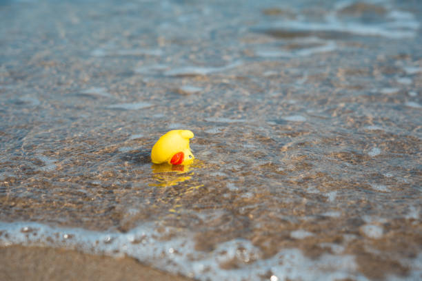 istock Yellow rubber duck on the beach, rubber ducky 1450279428