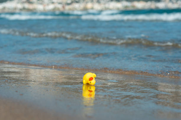 istock Yellow rubber duck on the beach, rubber ducky 1450279433