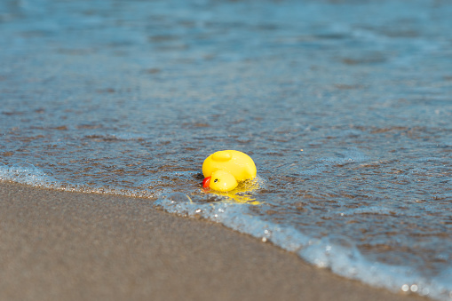 Photograph of a yellow rubber duck on the beach. The duck has come floating from the sea and is stranded on the shore on top of the sand beaten by the waves. Rubber ducky
