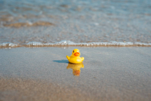 istock Yellow rubber duck on the beach, rubber ducky 1450279444