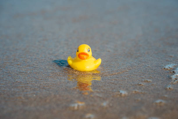 istock Yellow rubber duck on the beach, rubber ducky 1450279464