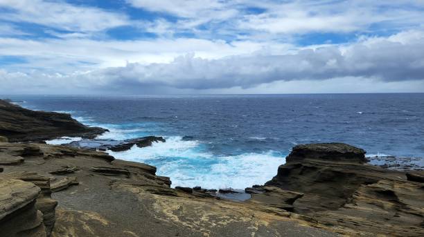 istock Rocky coastline of Honolulu with splashing waves 1450283664